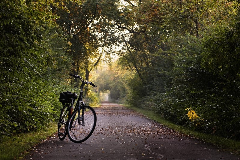 Scenic Rides