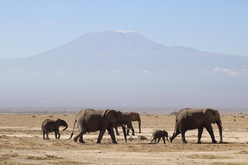 Serengeti National Park